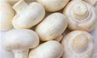مبارزه با کم خونی و پوکی استخوان با مصرف قارچ